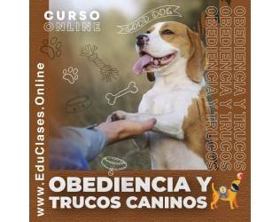 Obediencia y Trucos Caninos