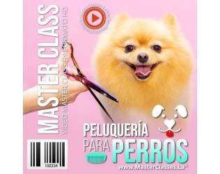Peluquería para Perros