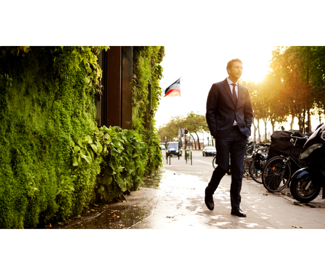 3 Cursos en 1: Jardín Vertical Profesional, Cuadros Vivos y Huertas Verticales