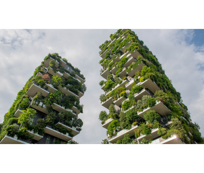 3 Cursos en 1: Jardín Vertical Profesional, Cuadros Vivos y Huertas Verticales