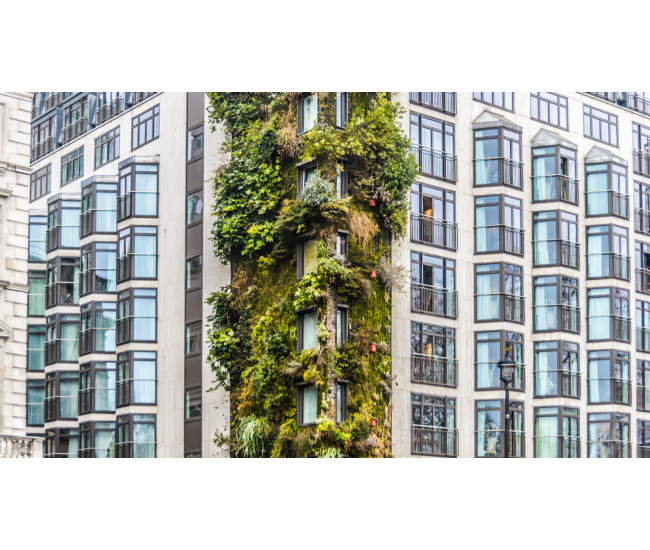 3 Cursos en 1: Jardín Vertical Profesional, Cuadros Vivos y Huertas Verticales