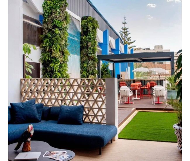 3 Cursos en 1: Jardín Vertical Profesional, Cuadros Vivos y Huertas Verticales