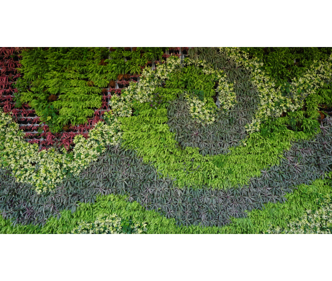 3 Cursos en 1: Jardín Vertical Profesional, Cuadros Vivos y Huertas Verticales