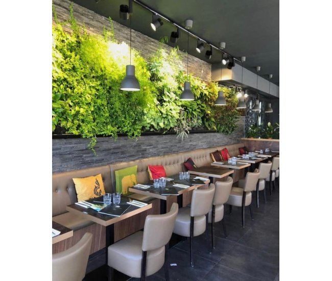 3 Cursos en 1: Jardín Vertical Profesional, Cuadros Vivos y Huertas Verticales