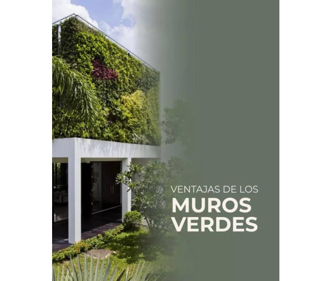 3 Cursos en 1: Jardín Vertical Profesional, Cuadros Vivos y Huertas Verticales