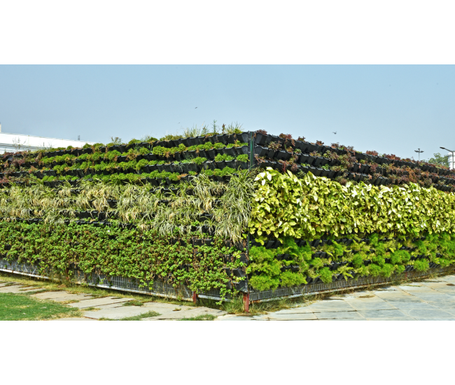 3 Cursos en 1: Jardín Vertical Profesional, Cuadros Vivos y Huertas Verticales