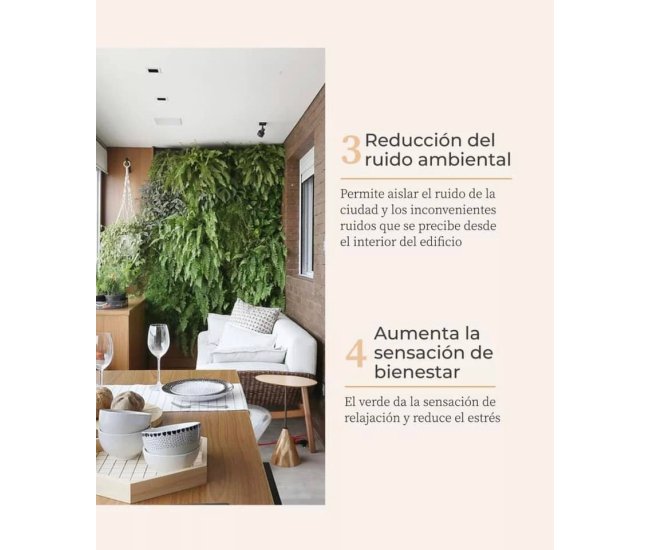 3 Cursos en 1: Jardín Vertical Profesional, Cuadros Vivos y Huertas Verticales