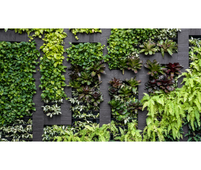 3 Cursos en 1: Jardín Vertical Profesional, Cuadros Vivos y Huertas Verticales
