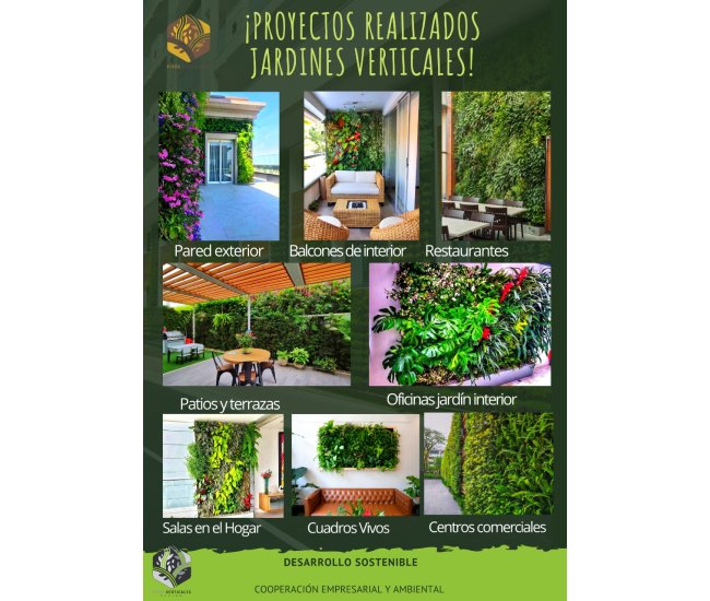 3 Cursos en 1: Jardín Vertical Profesional, Cuadros Vivos y Huertas Verticales