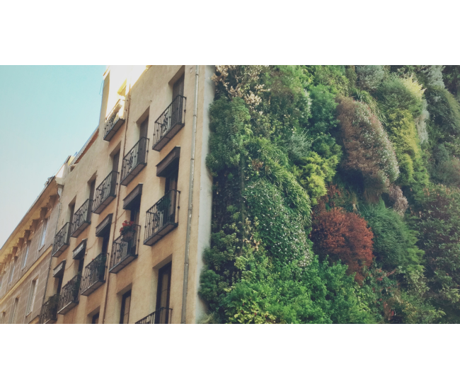 3 Cursos en 1: Jardín Vertical Profesional, Cuadros Vivos y Huertas Verticales