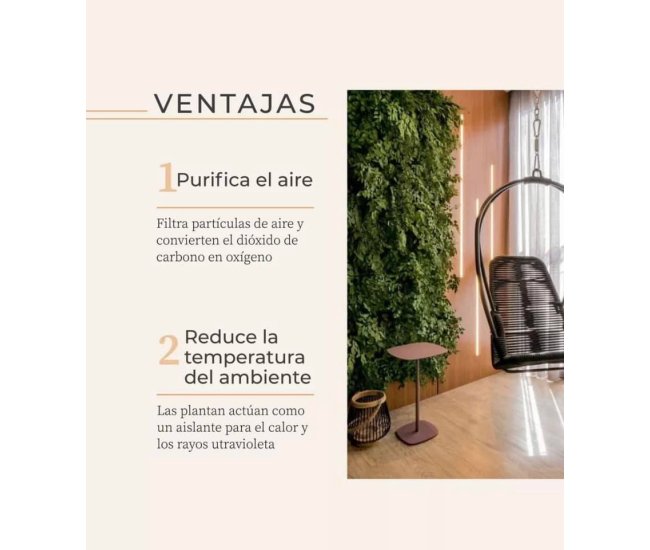 3 Cursos en 1: Jardín Vertical Profesional, Cuadros Vivos y Huertas Verticales