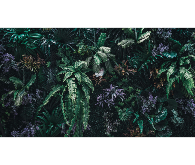 3 Cursos en 1: Jardín Vertical Profesional, Cuadros Vivos y Huertas Verticales