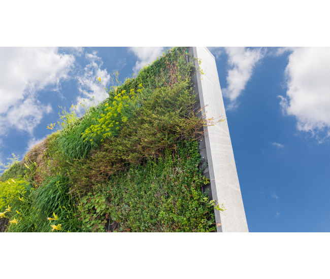 3 Cursos en 1: Jardín Vertical Profesional, Cuadros Vivos y Huertas Verticales