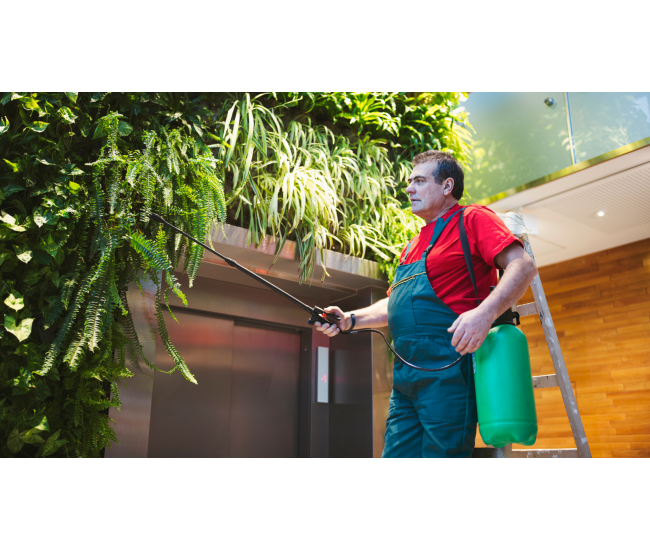 3 Cursos en 1: Jardín Vertical Profesional, Cuadros Vivos y Huertas Verticales