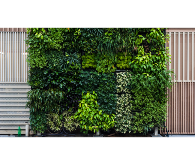 3 Cursos en 1: Jardín Vertical Profesional, Cuadros Vivos y Huertas Verticales