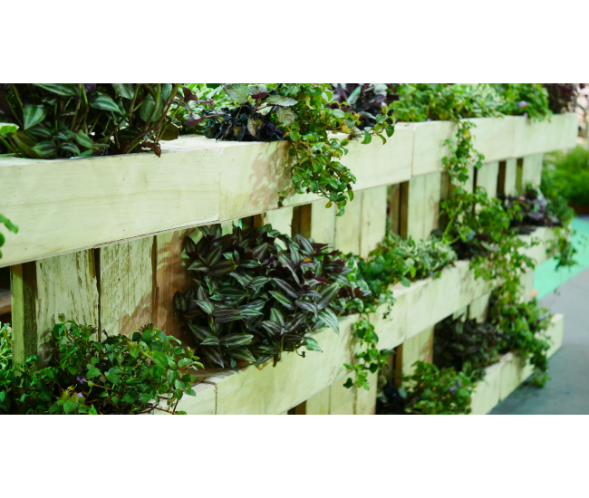 3 Cursos en 1: Jardín Vertical Profesional, Cuadros Vivos y Huertas Verticales