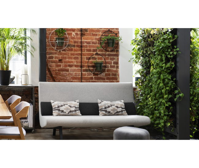 3 Cursos en 1: Jardín Vertical Profesional, Cuadros Vivos y Huertas Verticales