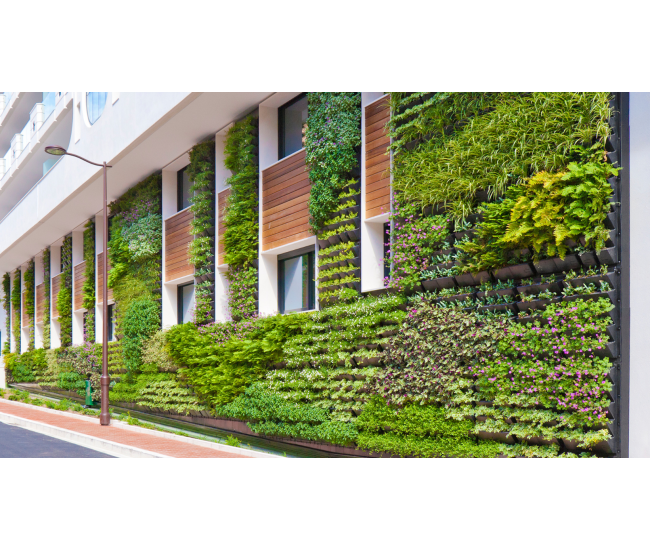 3 Cursos en 1: Jardín Vertical Profesional, Cuadros Vivos y Huertas Verticales