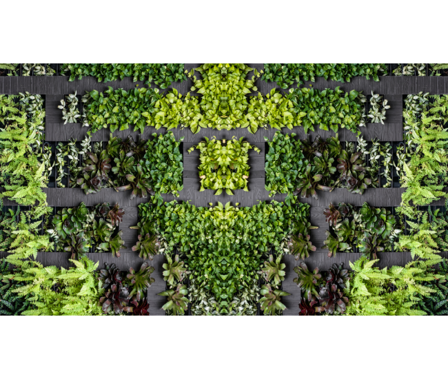 3 Cursos en 1: Jardín Vertical Profesional, Cuadros Vivos y Huertas Verticales