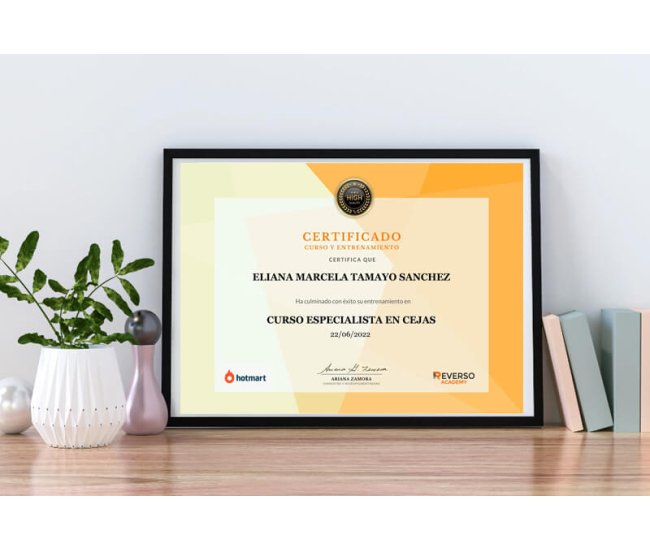 Curso Especialista en Cejas: Diseño + Tintura y Henna + Microblading