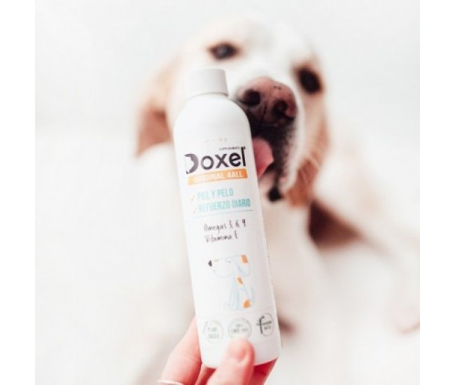 Doxel: Suplementos, Snacks y Cosmética Natural Orgánica para Perros