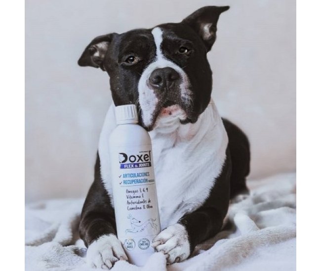 Doxel: Suplementos, Snacks y Cosmética Natural Orgánica para Perros