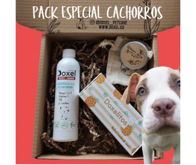 Doxel: Suplementos, Snacks y Cosmética Natural Orgánica para Perros