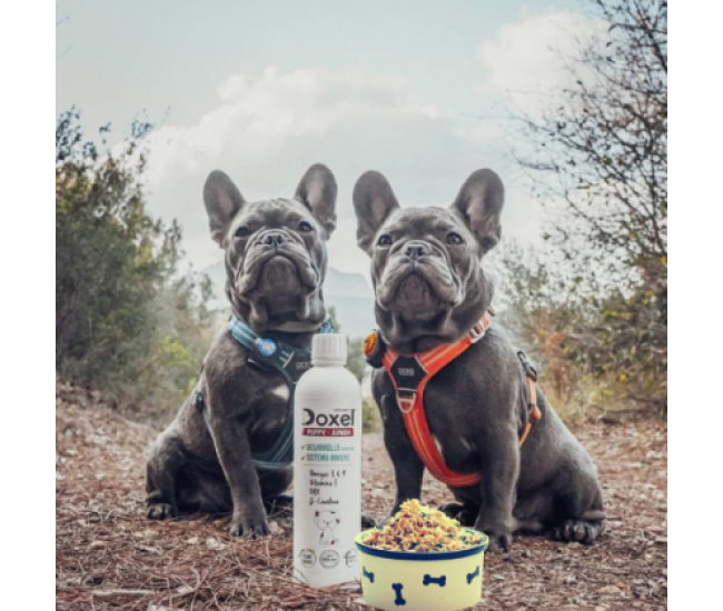 Doxel: Suplementos, Snacks y Cosmética Natural Orgánica para Perros