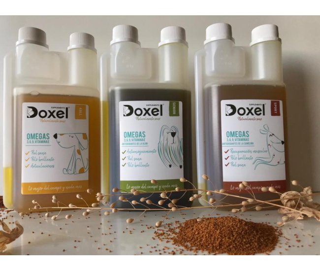 Doxel: Suplementos, Snacks y Cosmética Natural Orgánica para Perros