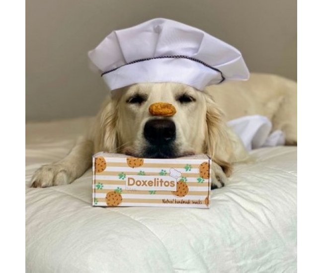 Doxel: Suplementos, Snacks y Cosmética Natural Orgánica para Perros