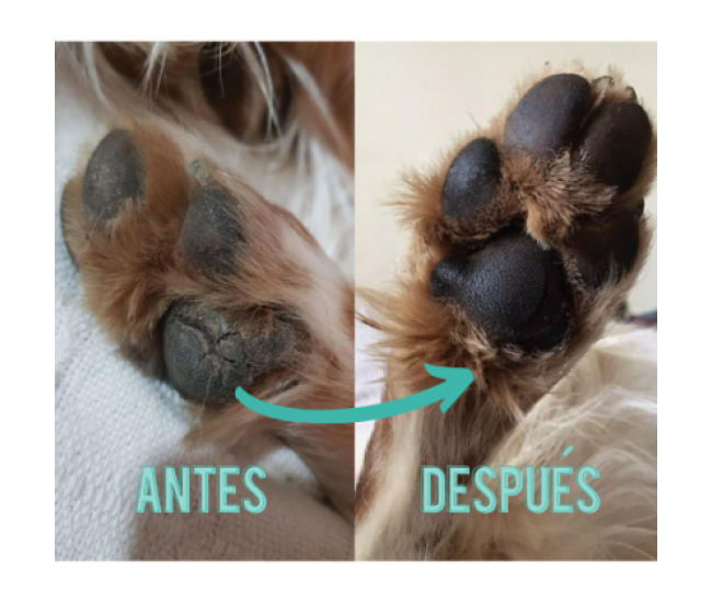 Doxel: Suplementos, Snacks y Cosmética Natural Orgánica para Perros