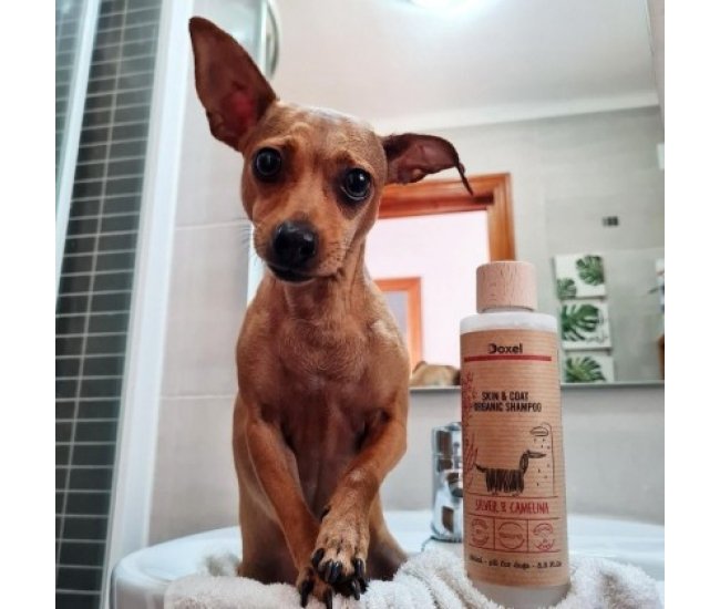 Doxel: Suplementos, Snacks y Cosmética Natural Orgánica para Perros