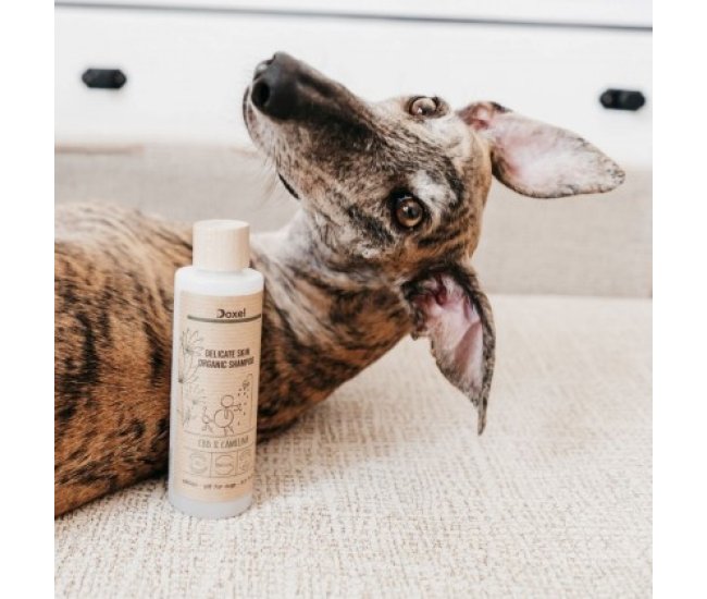 Doxel: Suplementos, Snacks y Cosmética Natural Orgánica para Perros