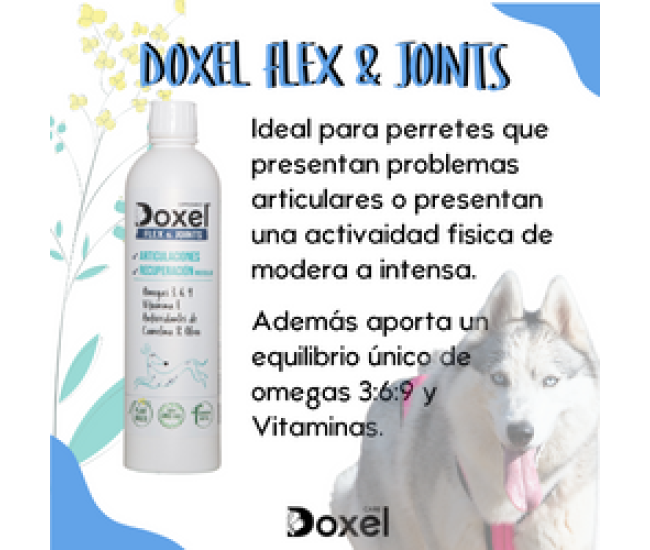Doxel: Suplementos, Snacks y Cosmética Natural Orgánica para Perros