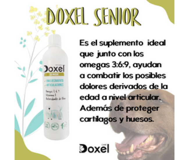 Doxel: Suplementos, Snacks y Cosmética Natural Orgánica para Perros