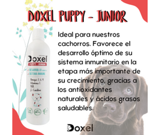 Doxel: Suplementos, Snacks y Cosmética Natural Orgánica para Perros