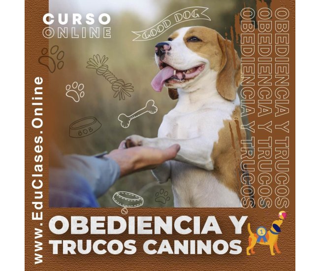 Obediencia y Trucos Caninos