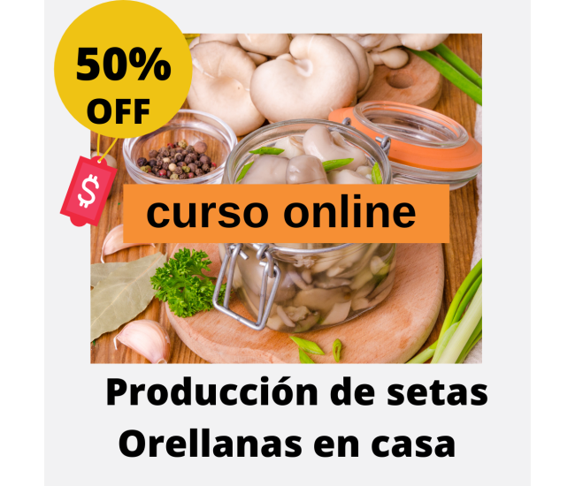 Producción Comercial de Setas Orellanas Champiñón Ostra