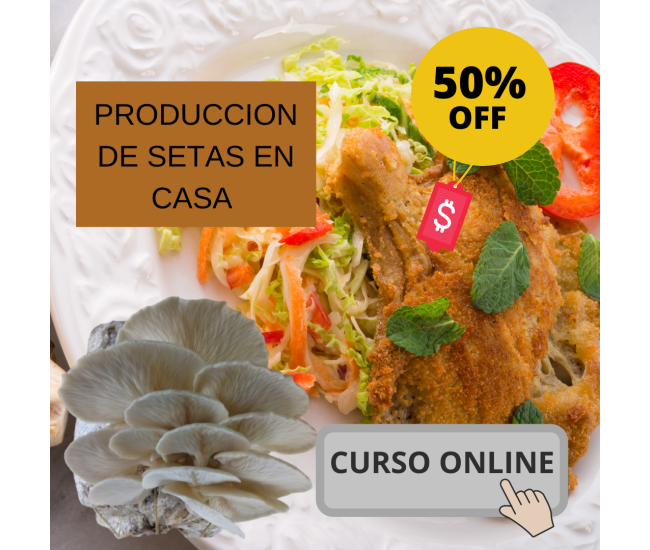 Producción Comercial de Setas Orellanas Champiñón Ostra